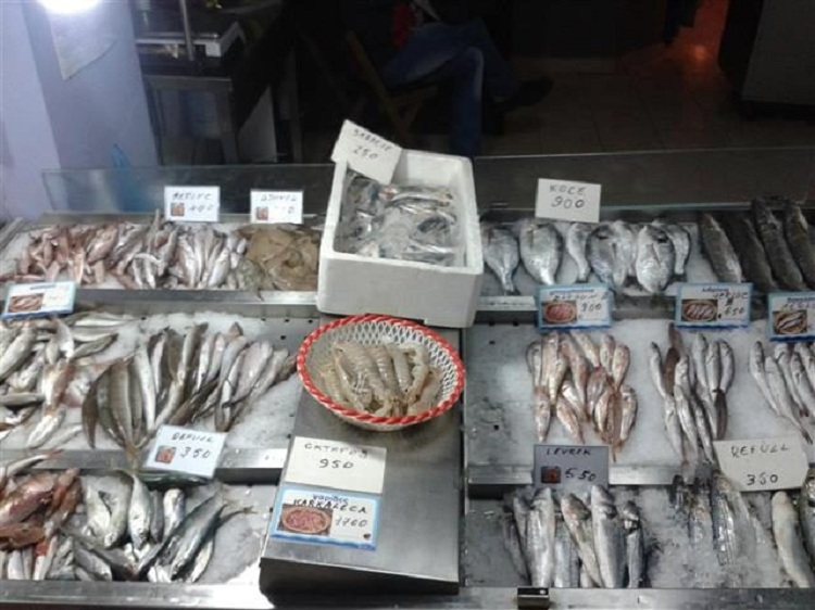 Nga 15 prilli shtohet lista e bizneseve që nisin punën, Rama: Do të kthehen dyqanet e tregtimit të peshkut, jo taksitë