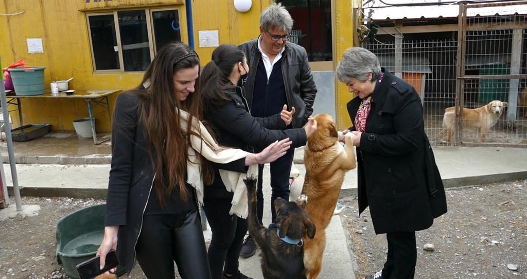 Kandidati Benet Beci në “Animal Lover” garanton mbeshtetje…