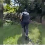 Shkodër/ Vijon operacioni policor i koduar “Alpe të pastra”, arrestohen dy përsona…
