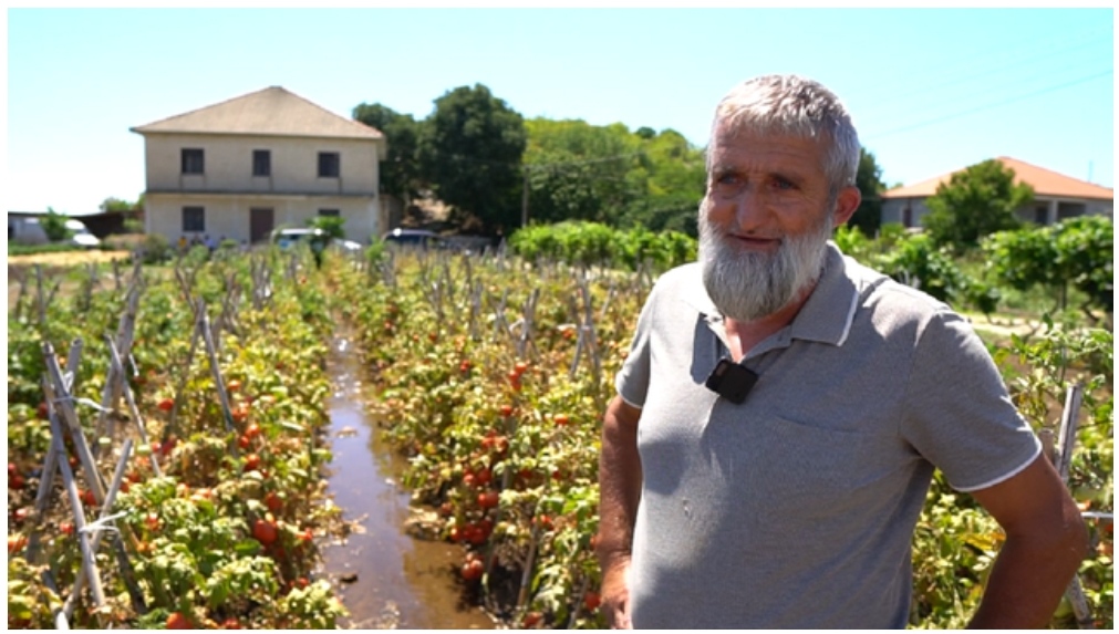 Habit fermeri nga Shkodra: Shita 24 ton qepë përmes ‘Facebook’…