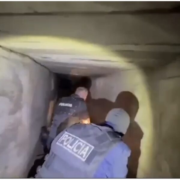 VIDEO-EMRA/ Publikohen pamjet e operacionit policor në Shkodër…
